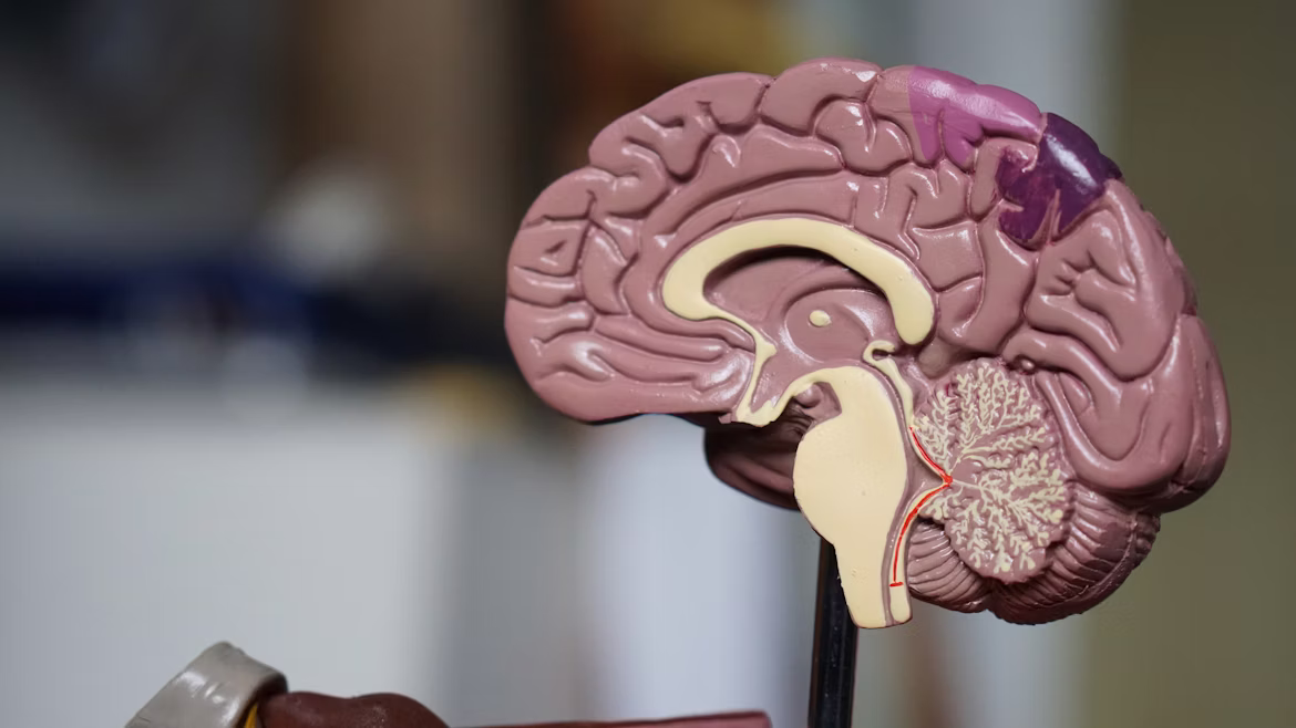 Neurosciences Department